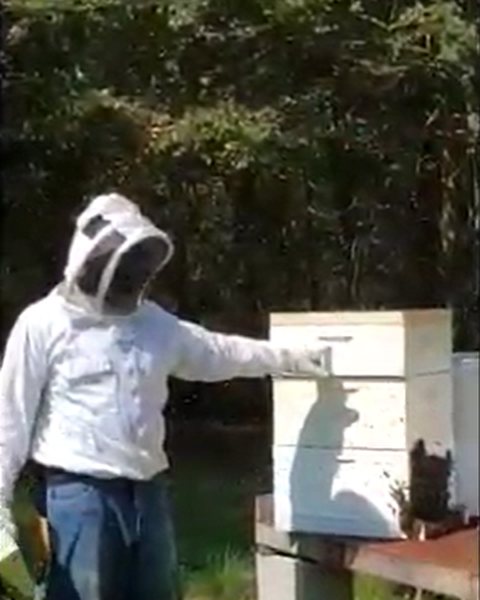 Wendell Killette: The Beekeeper